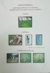 สถานีเพาะชำกล้าไม้แม่แตง จังหวัดเชียงใหม่ - แปลงปลูกต้นไม้ 59 แปลงที่ 3