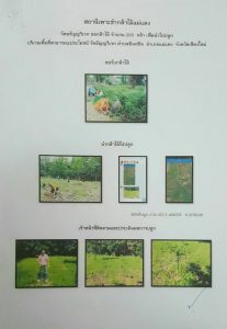 สถานีเพาะชำกล้าไม้แม่แตง จังหวัดเชียงใหม่ - แปลงปลูกต้นไม้ 59 แปลงที่ 4