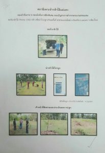 สถานีเพาะชำกล้าไม้แม่แตง จังหวัดเชียงใหม่ - แปลงปลูกต้นไม้ 59 แปลงที่ 5