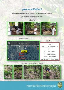 ศจันทบุรี-แปลงปลูกต้นไม้59_Page_6
