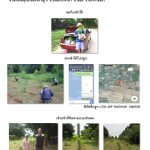 ศูนย์เพาะชำกล้าไม้นครราชสีมา-แปลงปลูกต้นไม้59 แปลงที่ 1