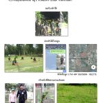 ศูนย์เพาะชำกล้าไม้นครราชสีมา-แปลงปลูกต้นไม้59 แปลงที่ 2