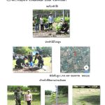 ศูนย์เพาะชำกล้าไม้นครราชสีมา-แปลงปลูกต้นไม้59 แปลงที่ 3