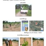 ศูนย์เพาะชำกล้าไม้นครราชสีมา-แปลงปลูกต้นไม้59 แปลงที่ 4