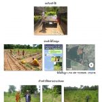 ศูนย์เพาะชำกล้าไม้นครราชสีมา-แปลงปลูกต้นไม้59 แปลงที่ 6