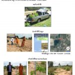 ศูนย์เพาะชำกล้าไม้นครราชสีมา-แปลงปลูกต้นไม้59 แปลงที่ 8