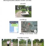 ศูนย์เพาะชำกล้าไม้นครราชสีมา-แปลงปลูกต้นไม้59 แปลงที่ 10