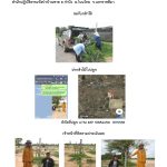 ศูนย์เพาะชำกล้าไม้นครราชสีมา-แปลงปลูกต้นไม้59 แปลงที่ 14