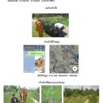 ศูนย์เพาะชำกล้าไม้นครราชสีมา-แปลงปลูกต้นไม้59 แปลงที่ 16