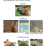 ศูนย์เพาะชำกล้าไม้นครราชสีมา-แปลงปลูกต้นไม้59 แปลงที่ 17