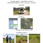 ศูนย์เพาะชำกล้าไม้นครราชสีมา-แปลงปลูกต้นไม้59 แปลงที่ 18