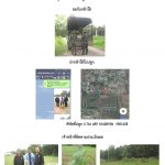 ศูนย์เพาะชำกล้าไม้นครราชสีมา-แปลงปลูกต้นไม้59 แปลงที่ 20