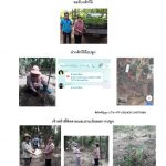 ศูนย์เพาะชำกล้าไม้ราชบุรี-แปลงปลูก59 แปลงที่ 2