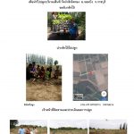 ศูนย์เพาะชำกล้าไม้ราชบุรี-แปลงปลูก59 แปลงที่ 5