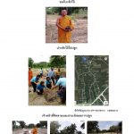 ศูนย์เพาะชำกล้าไม้ราชบุรี-แปลงปลูก59 แปลงที่ 8