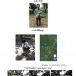 ศูนย์เพาะชำกล้าไม้ราชบุรี-แปลงปลูก59 แปลงที่ 9