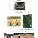 ศูนย์เพาะชำกล้าไม้ราชบุรี-แปลงปลูก59 แปลงที่ 10