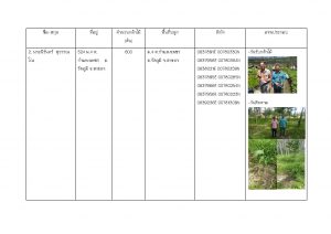 ศูนย์เพาะชำกล้าไม้สงขลา - แปลงปลูกต้นไม้ 59 แปลงที่ 2
