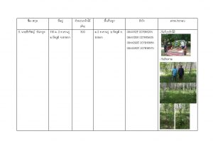ศูนย์เพาะชำกล้าไม้สงขลา - แปลงปลูกต้นไม้ 59 แปลงที่ 3