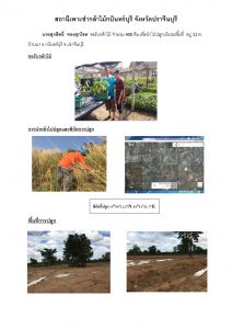 สกบินทร์บุรี-แปลงปลูก59_Page_1