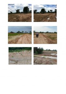 สกบินทร์บุรี-แปลงปลูก59_Page_2