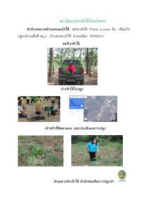 สถานีเพาะชำกล้าไม้จังหวัดตาก-แปลงปลูก59_Page_01