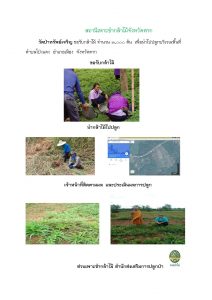 สถานีเพาะชำกล้าไม้จังหวัดตาก-แปลงปลูก59_Page_03