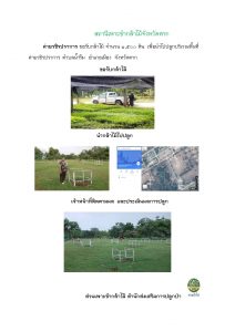 สถานีเพาะชำกล้าไม้จังหวัดตาก-แปลงปลูก59_Page_05