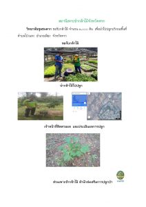 สถานีเพาะชำกล้าไม้จังหวัดตาก-แปลงปลูก59_Page_06