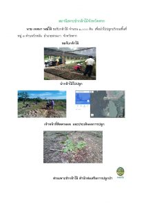 สถานีเพาะชำกล้าไม้จังหวัดตาก-แปลงปลูก59_Page_07