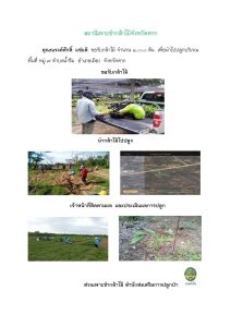 สถานีเพาะชำกล้าไม้จังหวัดตาก-แปลงปลูก59_Page_09