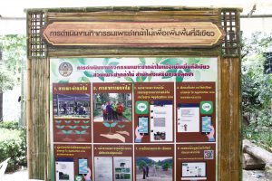สถาปนา10