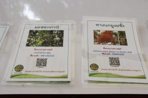 สถาปนา9