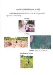 สถานีเพาะชำกล้าไม้จังหวัดนครนายก ทุ่งโพธิ์-แปลงปลูก59_Page_1