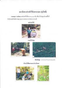 สถานีเพาะชำกล้าไม้จังหวัดนครนายก ทุ่งโพธิ์-แปลงปลูก59_Page_2