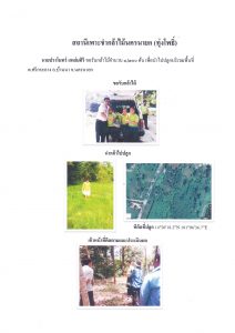 สถานีเพาะชำกล้าไม้จังหวัดนครนายก ทุ่งโพธิ์-แปลงปลูก59_Page_3