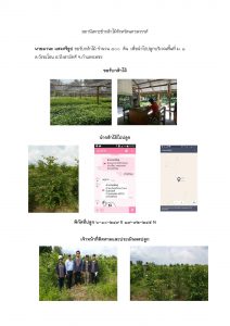 สถานีเพาะชำกล้าไม้จังหวัดนครสวรรค์-แปลงปลูกต้นไม้59 แปลงที่ 1