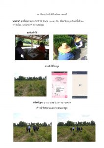 สถานีเพาะชำกล้าไม้จังหวัดนครสวรรค์-แปลงปลูกต้นไม้59 แปลงที่ 2