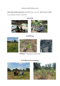 สถานีเพาะชำกล้าไม้จังหวัดนครสวรรค์-แปลงปลูกต้นไม้59 แปลงที่ 3