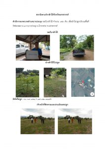 สถานีเพาะชำกล้าไม้จังหวัดนครสวรรค์-แปลงปลูกต้นไม้59 แปลงที่ 6