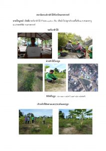 สถานีเพาะชำกล้าไม้จังหวัดนครสวรรค์-แปลงปลูกต้นไม้59 แปลงที่ 7