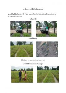 สถานีเพาะชำกล้าไม้จังหวัดนครสวรรค์-แปลงปลูกต้นไม้59 แปลงที่ 9