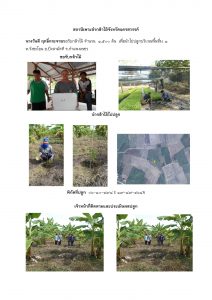 สถานีเพาะชำกล้าไม้จังหวัดนครสวรรค์-แปลงปลูกต้นไม้59 แปลงที่ 10