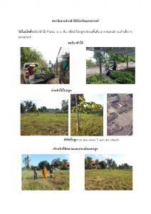 สถานีเพาะชำกล้าไม้จังหวัดนครสวรรค์-แปลงปลูกต้นไม้59 แปลงที่ 12