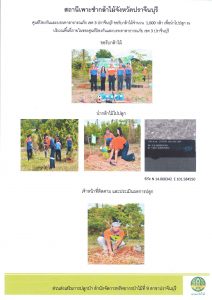 สถานีเพาะชำกล้าไม้จังหวัดปราจีนบุรี-แปลงปลูก59_Page_1