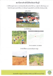 สถานีเพาะชำกล้าไม้จังหวัดปราจีนบุรี-แปลงปลูก59_Page_4