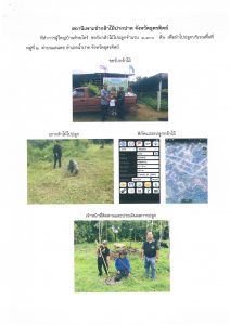 สถานีเพาะชำกล้าไม้ปากปาด จังหวัดอุตรดิตถ์-แปลงปลูก59 แปลงที่ 2