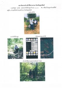 สถานีเพาะชำกล้าไม้ปากปาด จังหวัดอุตรดิตถ์-แปลงปลูก59 แปลงที่ 4