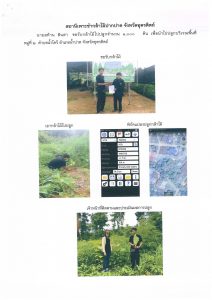 สถานีเพาะชำกล้าไม้ปากปาด จังหวัดอุตรดิตถ์-แปลงปลูก59 แปลงที่ 7