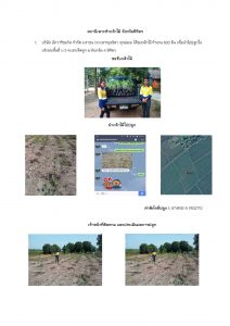 สถานีเพาะชำกล้าไม้จังหวัดพิจิตร-แปลงปลูกต้นไม้59 แปลงที่ 1